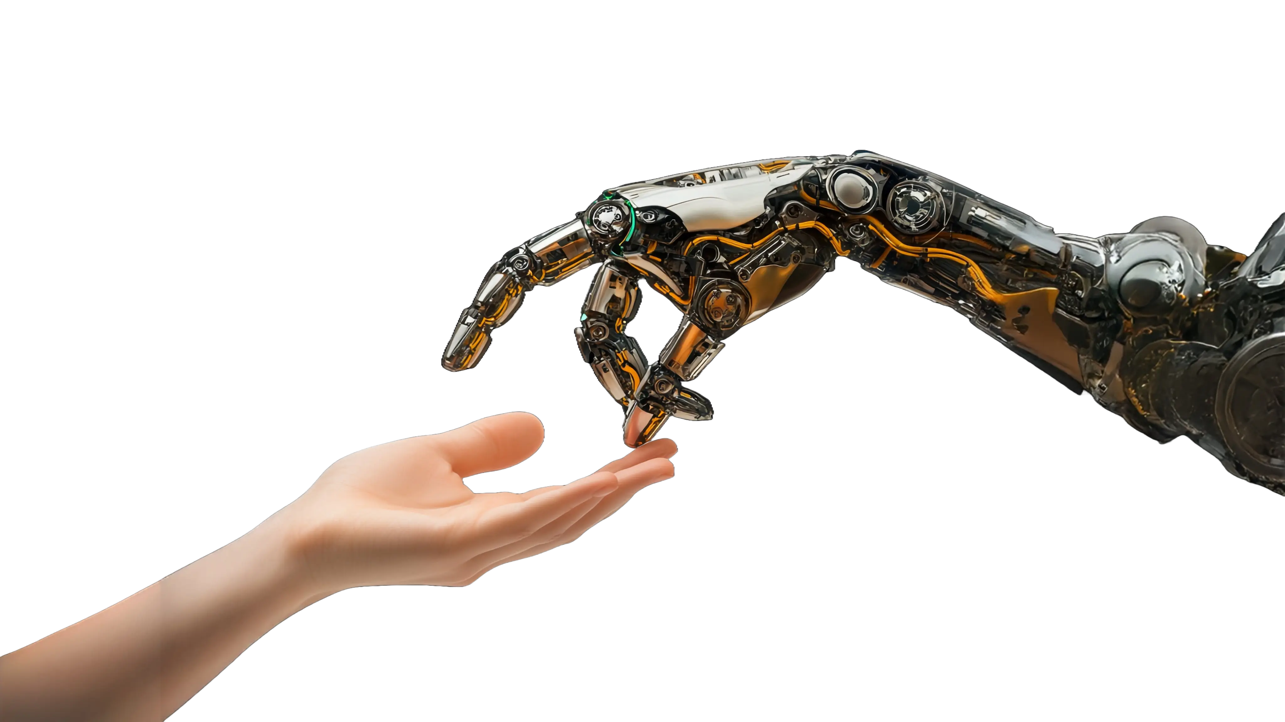 DSIB TECH Robotics